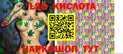 mdpv Владимир