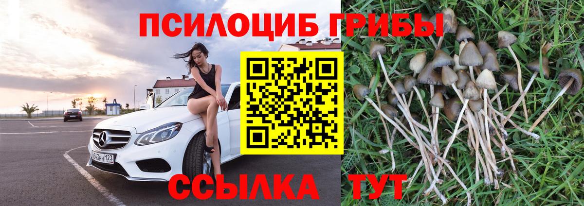 Псилоцибиновые грибы мицелий  магазин    Качканар  Псилоцибиновые грибы прущие грибы  Вход с VPN 